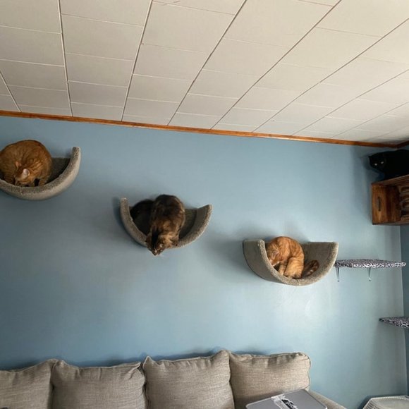 New Wall mounted cat bed - Picture 10 of 16